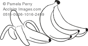 300x158 And White Clip Art Illustration Of A Bunch Of Bananas