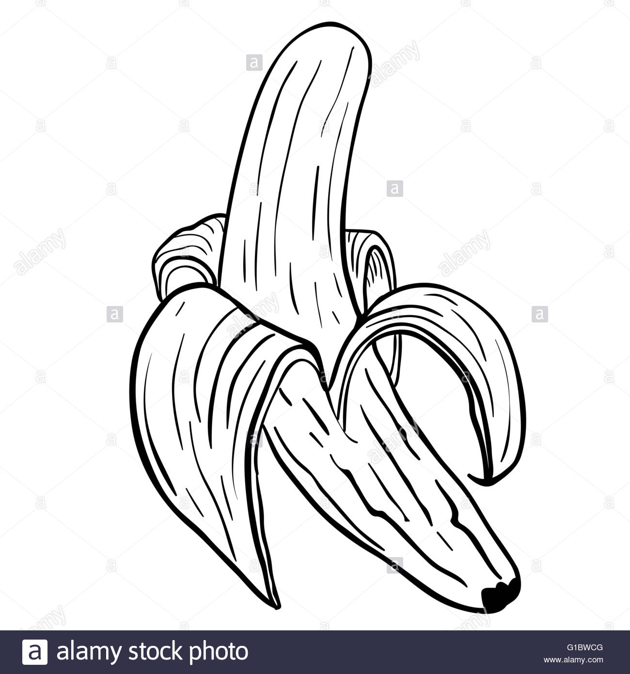 1300x1390 Peeled Banana Cartoon Isolated On White Stock Vector Art