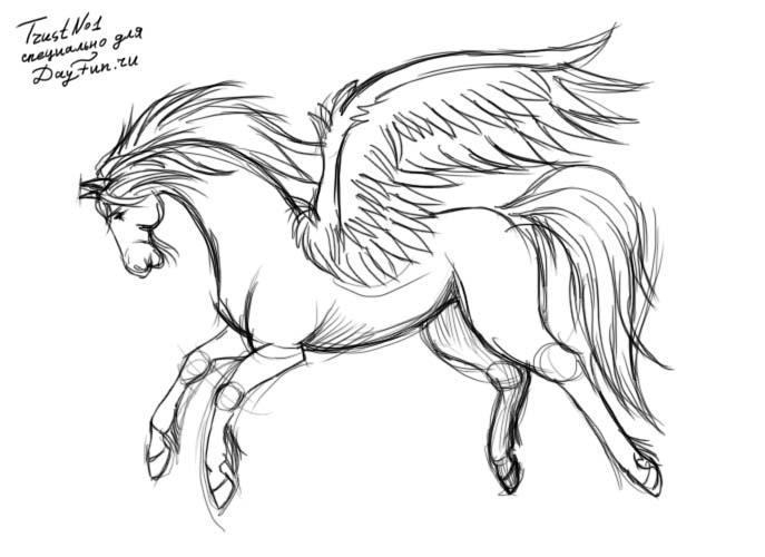 687x500 How To Draw Pegasus Step By Step