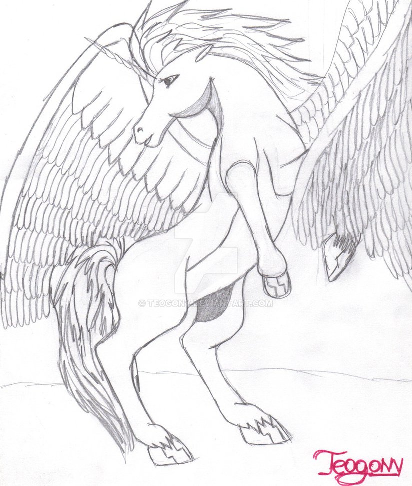 823x971 Pegasus Horse By Teogony