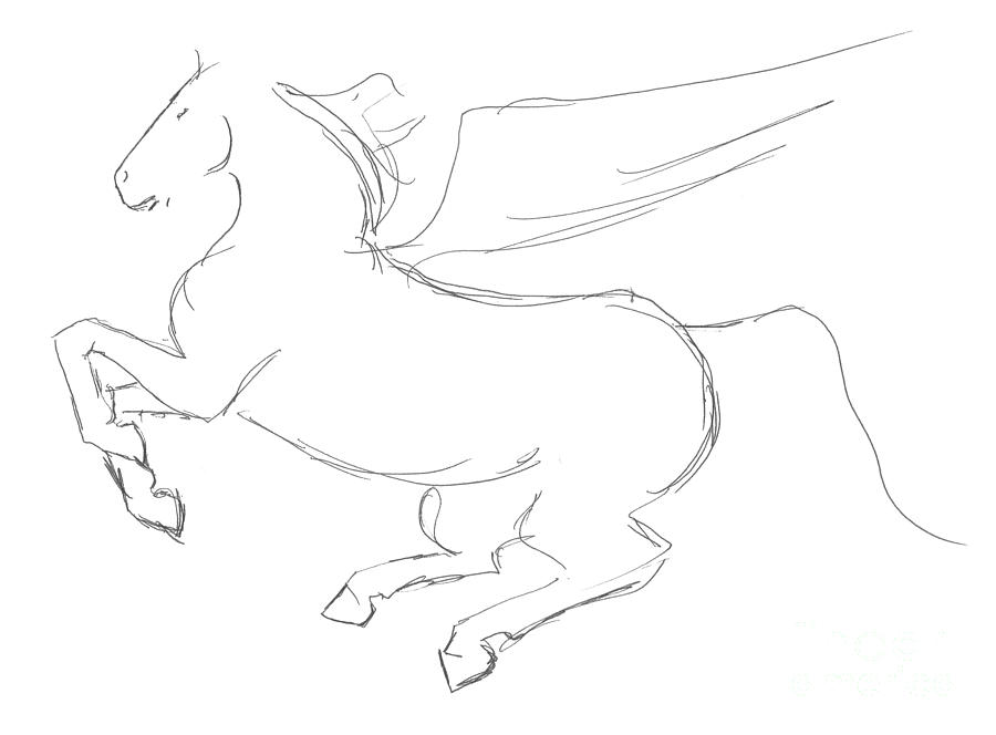 900x664 Pegasus Sketch Drawing By J M Lister