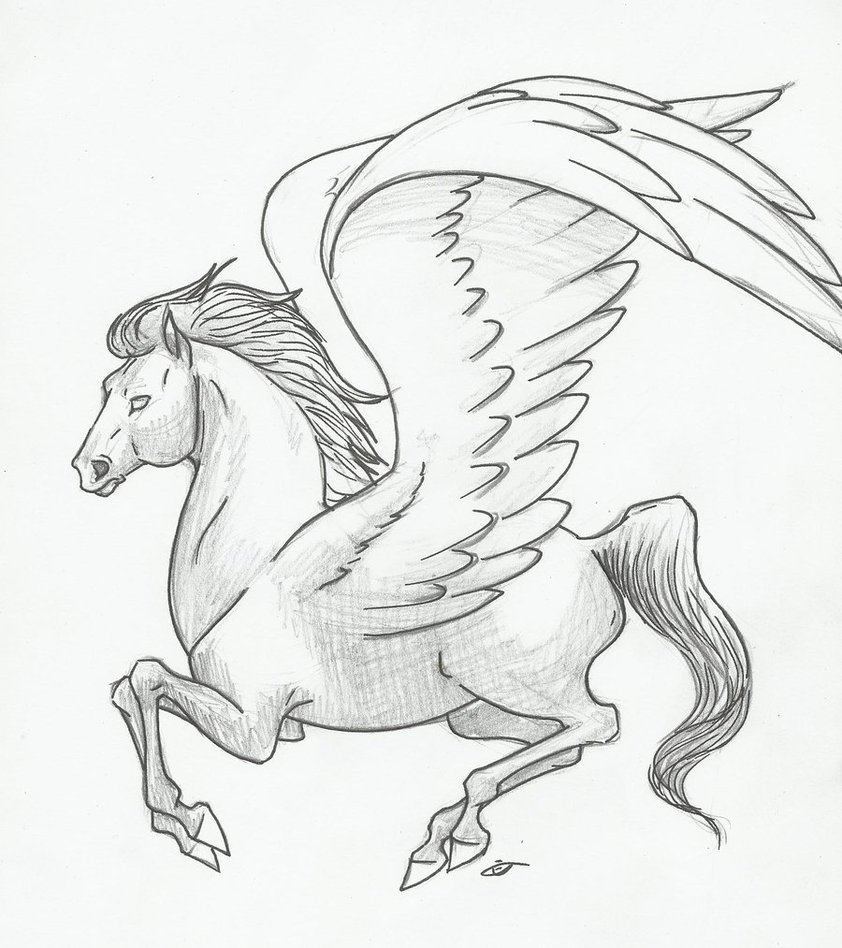 842x948 Winged Pegasus By Huntergirl463