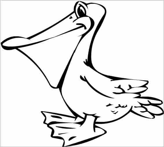 566x508 Pelican Coloring Pages