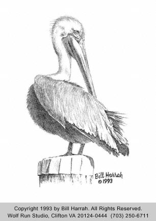 306x432 Wolf Run Studio