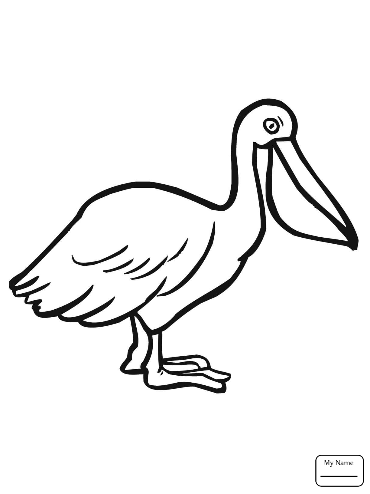 1224x1632 Funny Flying Pelican Birds Coloring Pages For Kids
