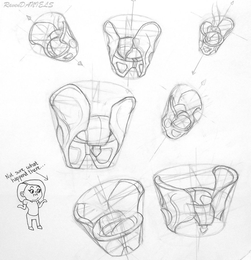 878x910 Pelvis Study 4 By Ravendaniels
