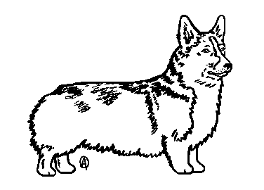 376x270 Order A Personalized Pet Memorial Stone