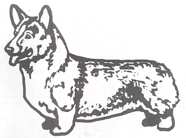 637x473 Welsh Corgi Pembroke Page