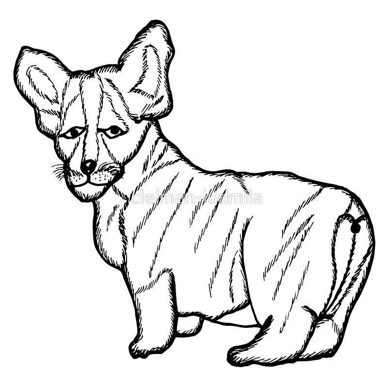 800x800 Hand Drawn Sketch Style Dog.vector Illustration Isolated On White