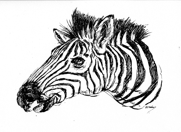 Pen And Ink Animal Drawing at GetDrawings | Free download