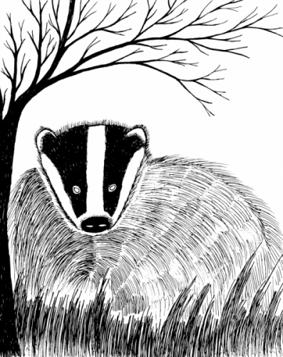 397x500 Pen And Ink Drawings