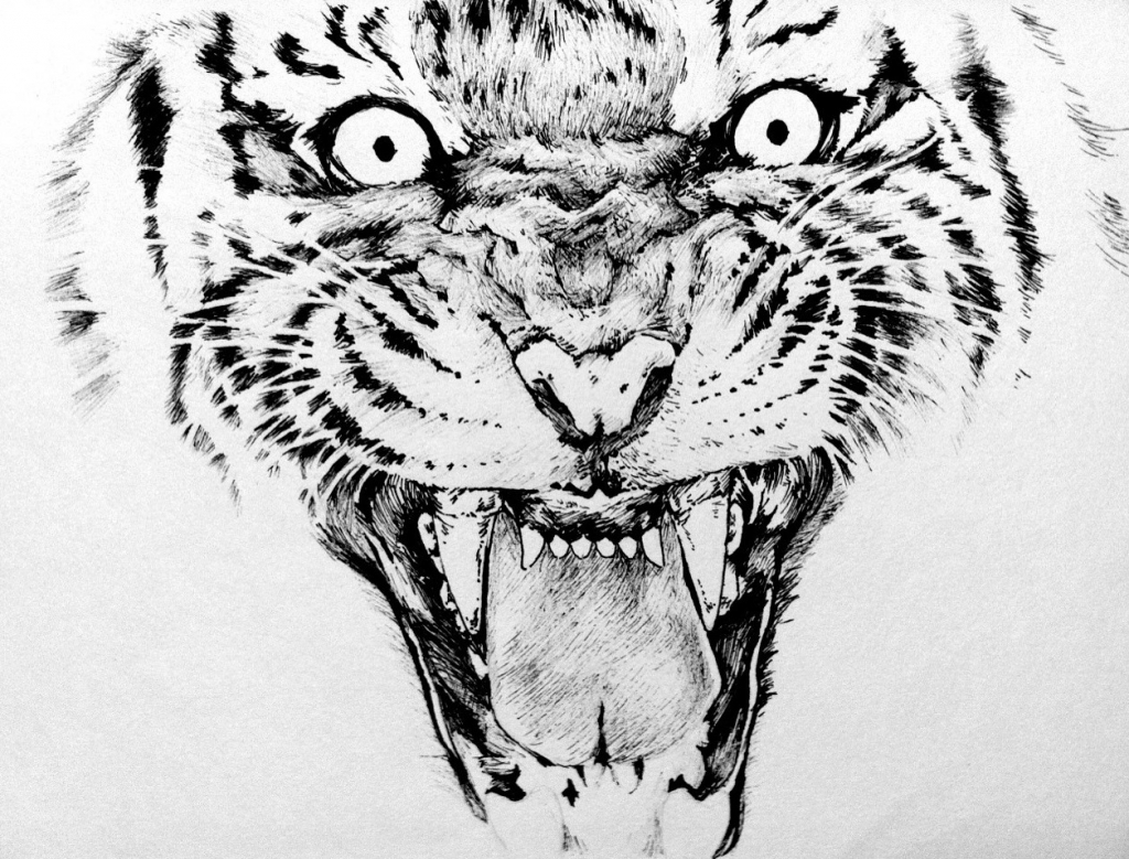 1024x779 Drawing Pictures Animals With Pen 1000 Images About Pen And Ink