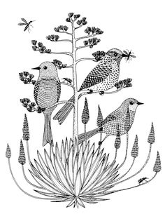 236x305 Pen Amp Ink Drawing Tutorials How To Draw Birds Speed Art Videos