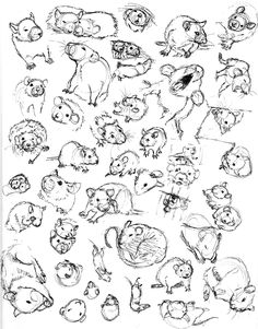 236x301 Rat Sketch Practice 3 By Never On @