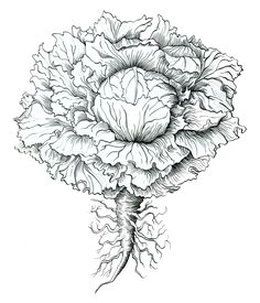 236x275 Images For Gt Pen And Ink Drawings Of Flowers Tattoos