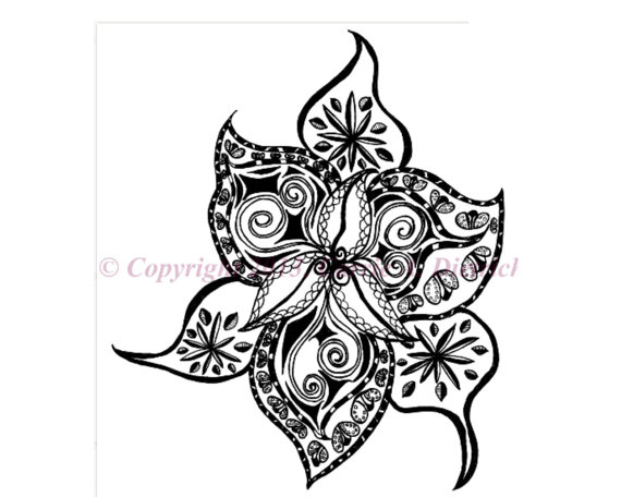 570x456 Black And White Art Pen And Ink Flower Design Illustration