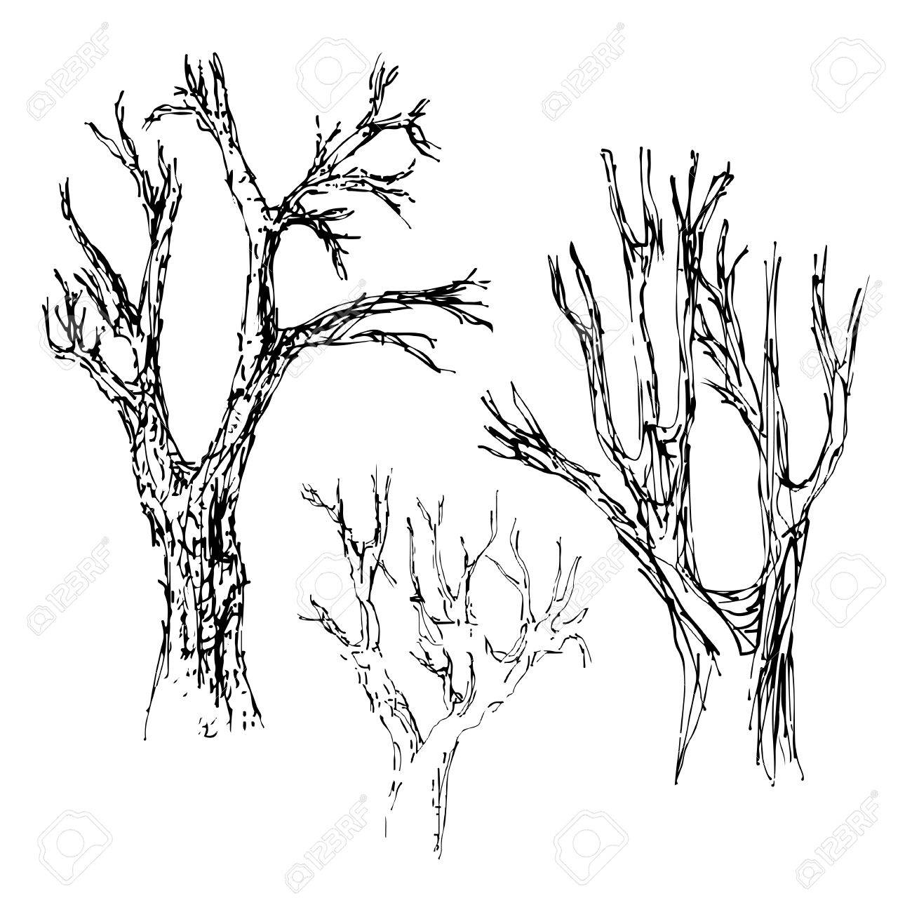 1300x1300 Hand Drawn Tree Isolated Vector Illustration Art Sketching