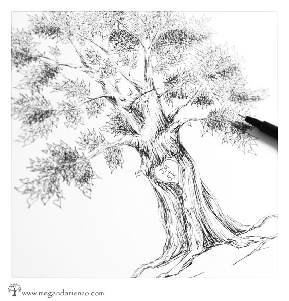 Pen And Ink Tree Drawing At Getdrawings Free Download 7784