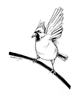 273x350 Cristina Jaco Artwork Collection Pen And Ink Drawings