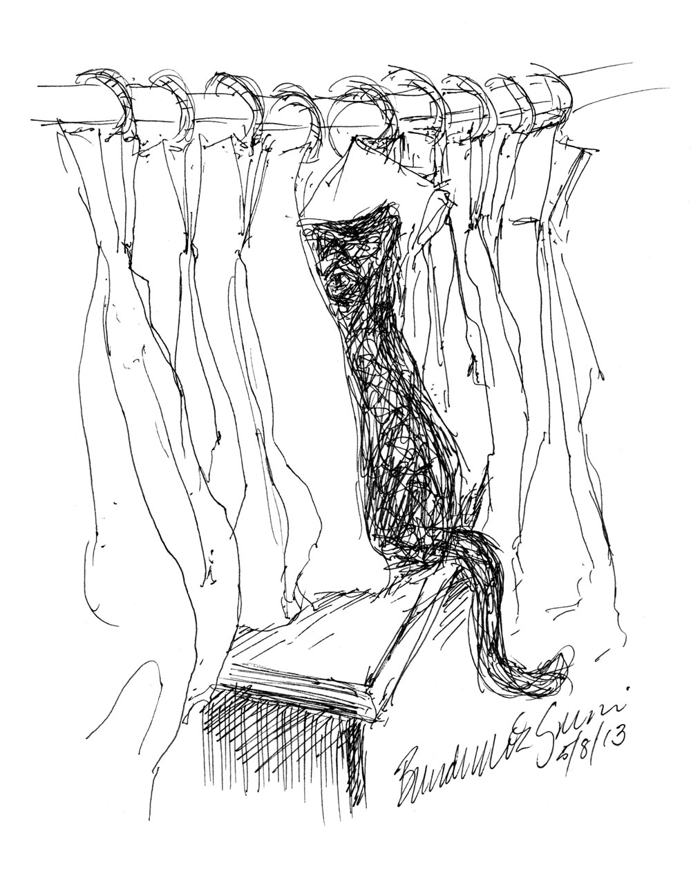 1000x1259 Daily Sketch Behind Curtains ~ The Creative Cat