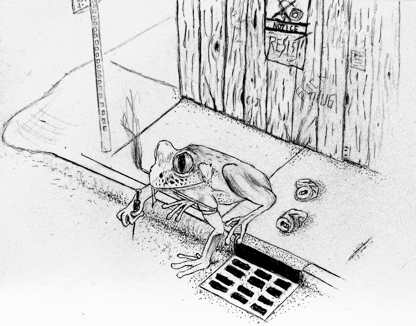 1362x1067 Frog Junkie' (First Complete Drawing) Pencil Amp Ink Pen On Paper