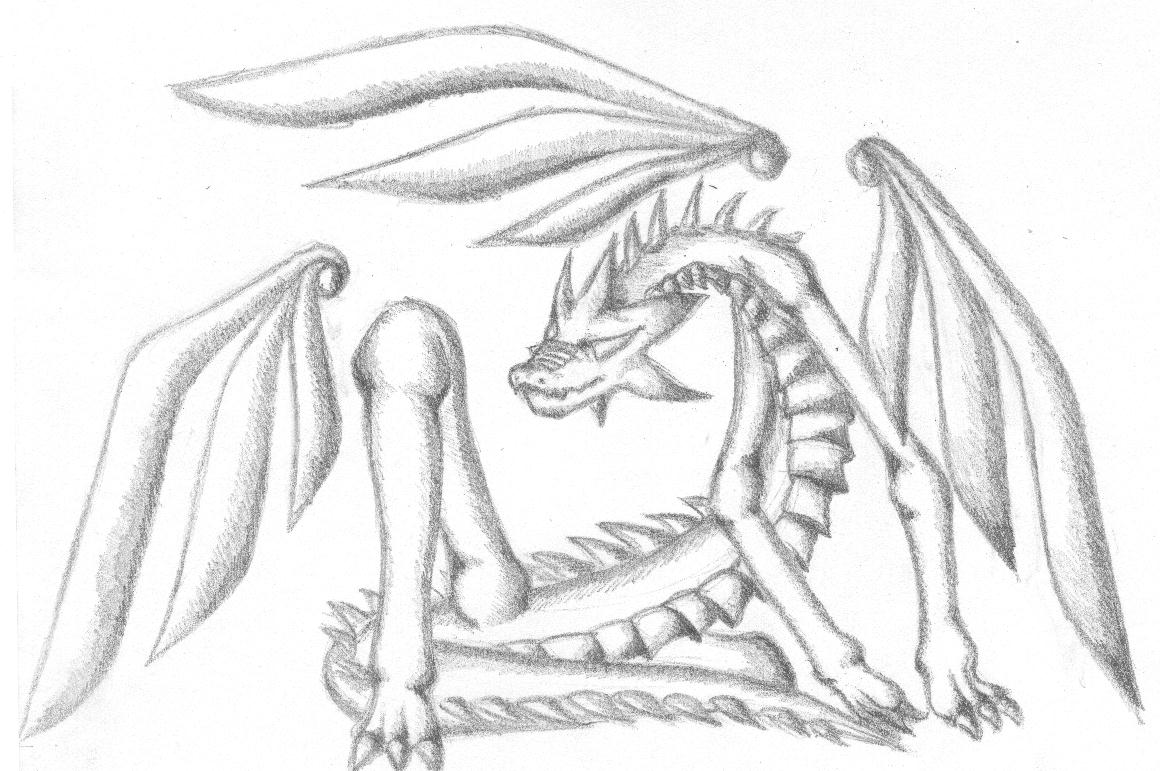 1160x771 Dragon Pencil Sketch By Shahtrughna