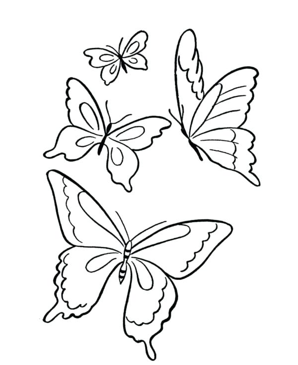 600x734 Butterflies To Draw Butterfly Sketch Butterflies Drawing Pictures
