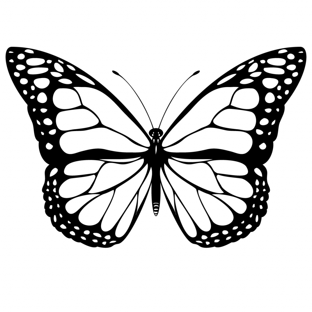 1024x1024 Butterfly Drawings Easy How To Draw A Butterflyeasystepstep
