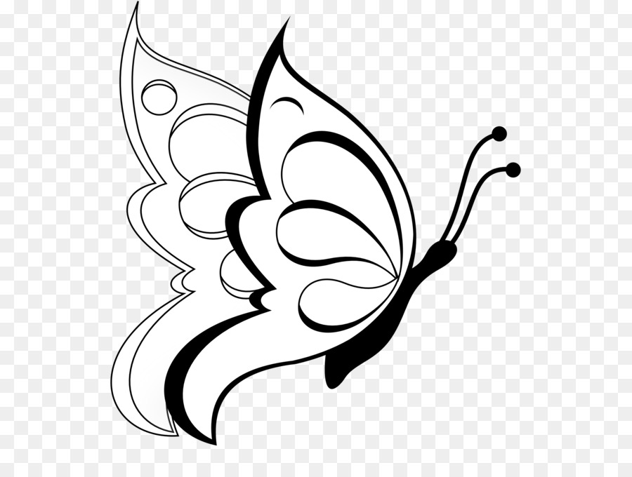 900x680 Butterfly Drawing Pencil Sketch