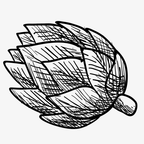 500x500 Pencil Drawing,fruits Vegetables,vegetables,sketch,black