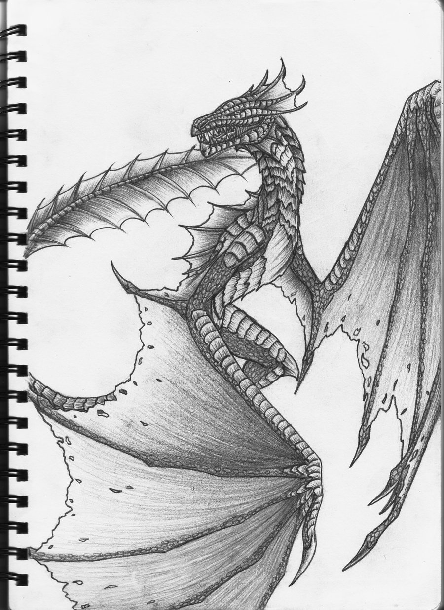 Pencil Drawing Dragons at GetDrawings | Free download