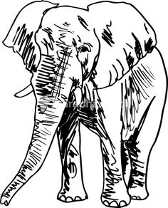 236x292 Elephant Pencil Drawing Tattoos In My Future