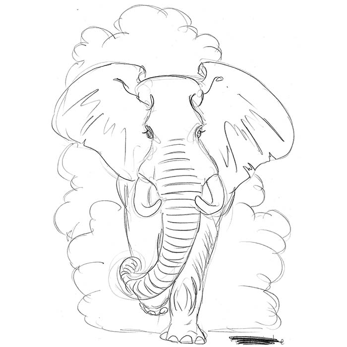 700x700 Visitors' Animal Drawings Te Papa