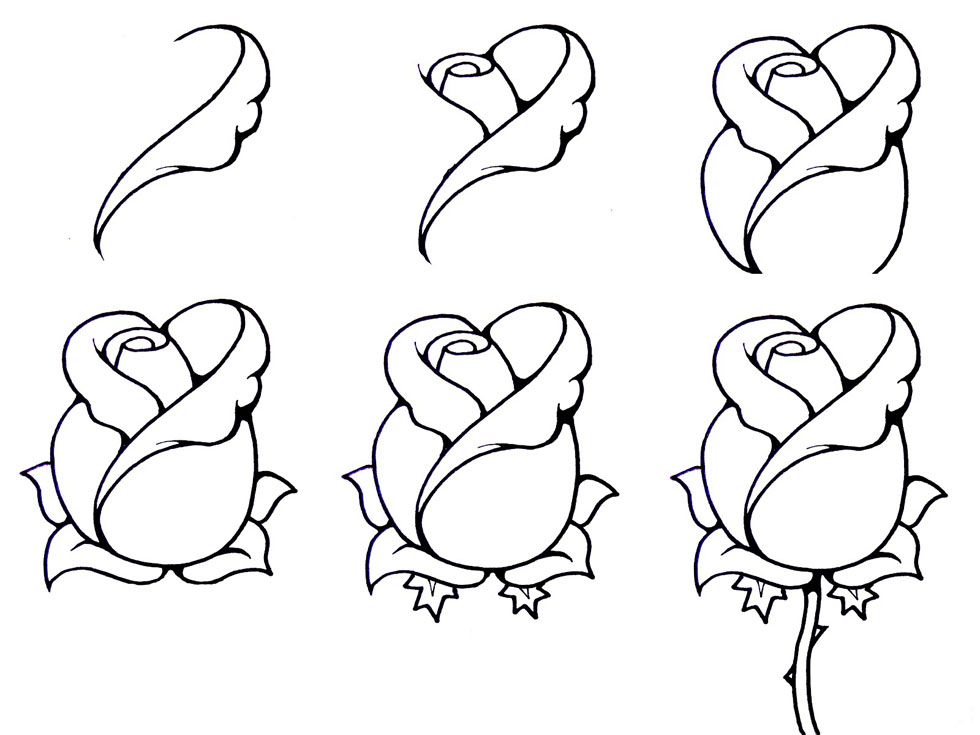 Beautiful Flowers Drawing Step By Step at GetDrawings | Free download