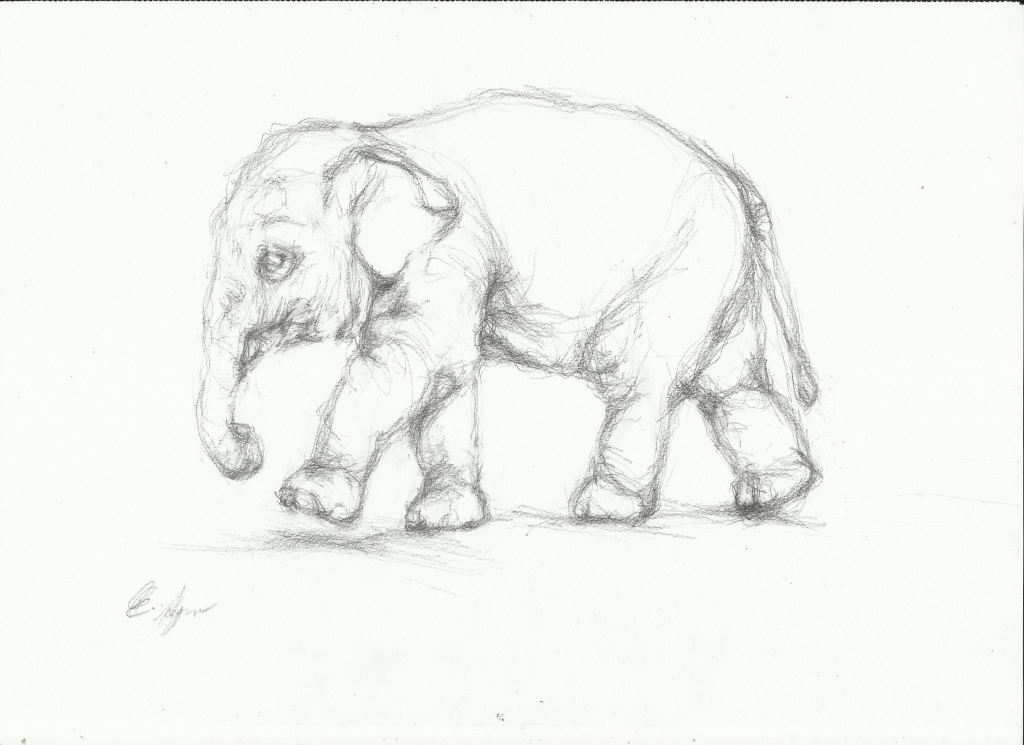 1024x745 Pencil Sketch Animals Color Pencil Drawings Of Animals Free