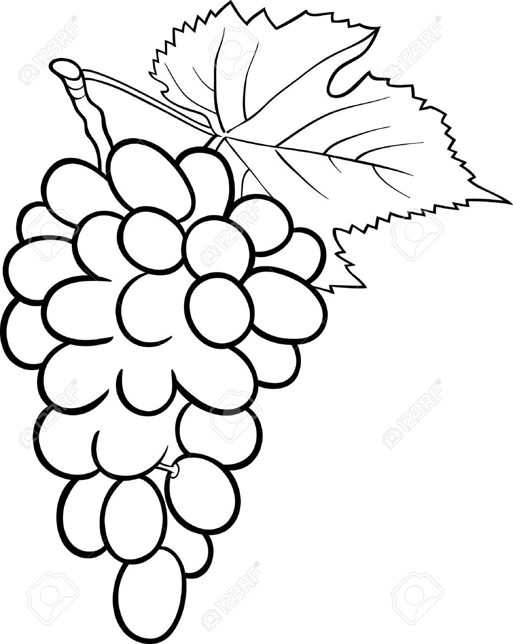 1035x1300 Grapes Clipart Black And White Letters Example