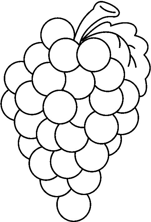 483x708 Grapes Clipart Outline