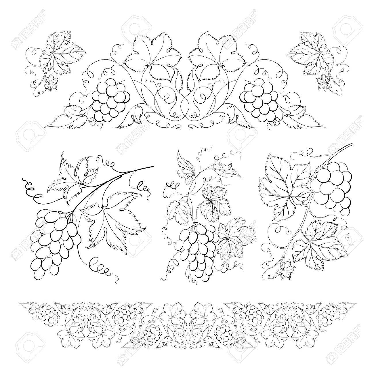 1300x1300 Hand Drawn Of Pencil, Grapes Set Vector Illustration Stock Photo