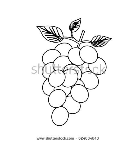 450x470 Monochrome Silhouette Of Bunch Of Grapes Vector Illustration
