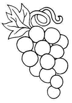 236x334 Drawn Grapes Easy
