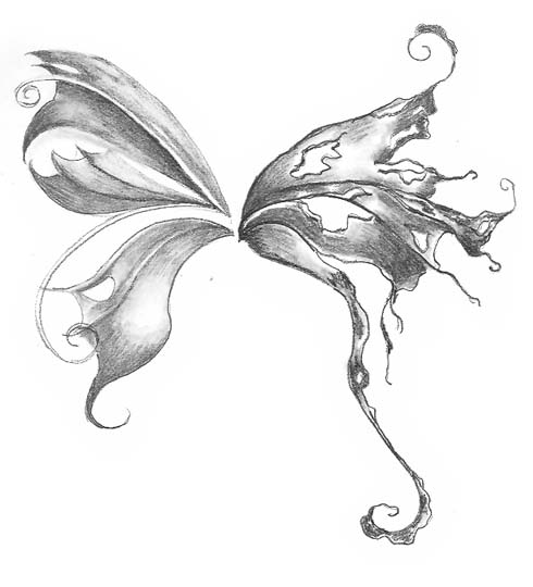 490x540 Easy To Draw Wings Pencil Drawing Of A Couple Of Drawing