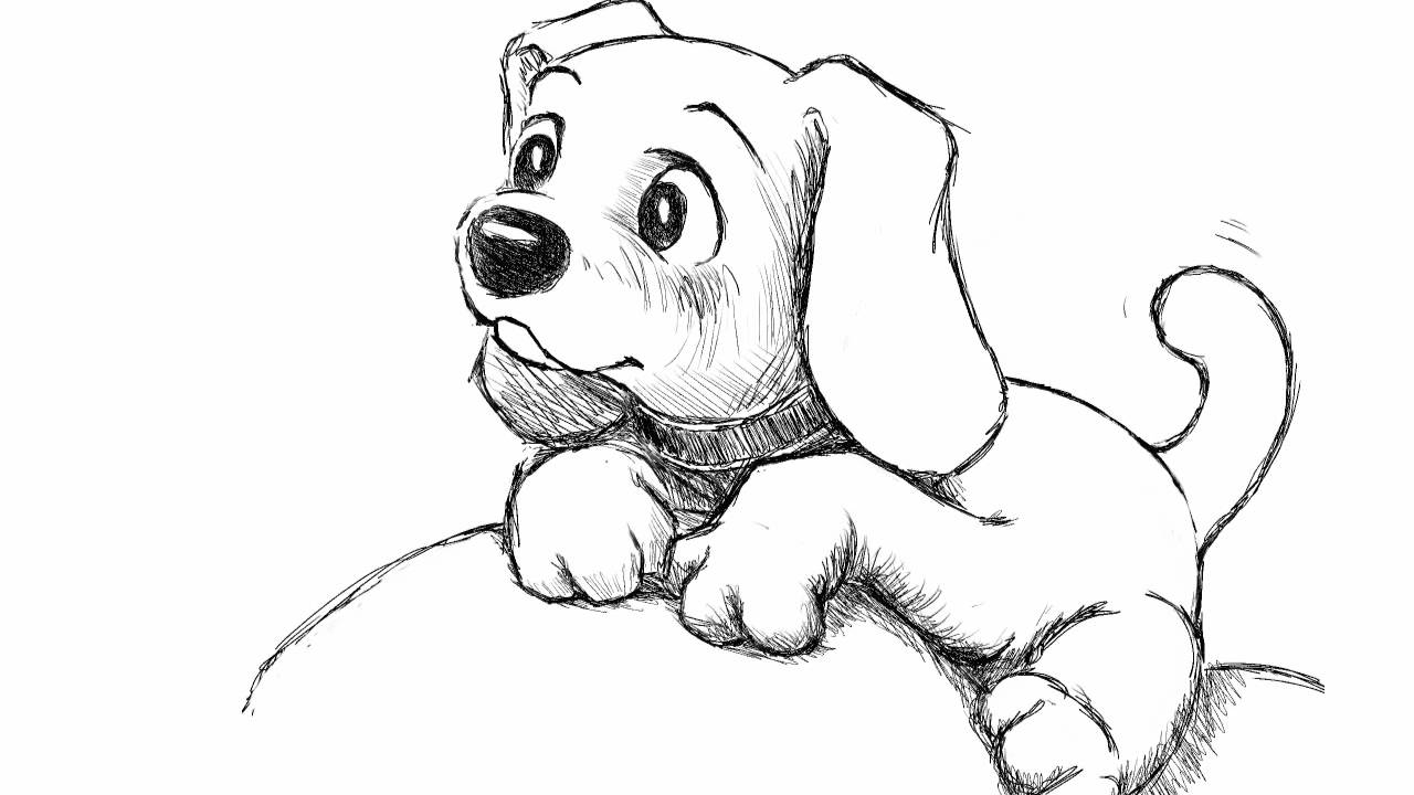 1280x720 Puppy Drawings Puppies Drawings In Pencil