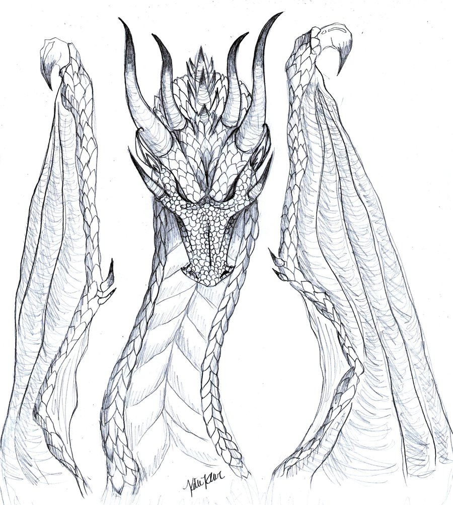 900x1002 Amazing Dragon Pencil Drawing Pencil Drawing Of A Dragon