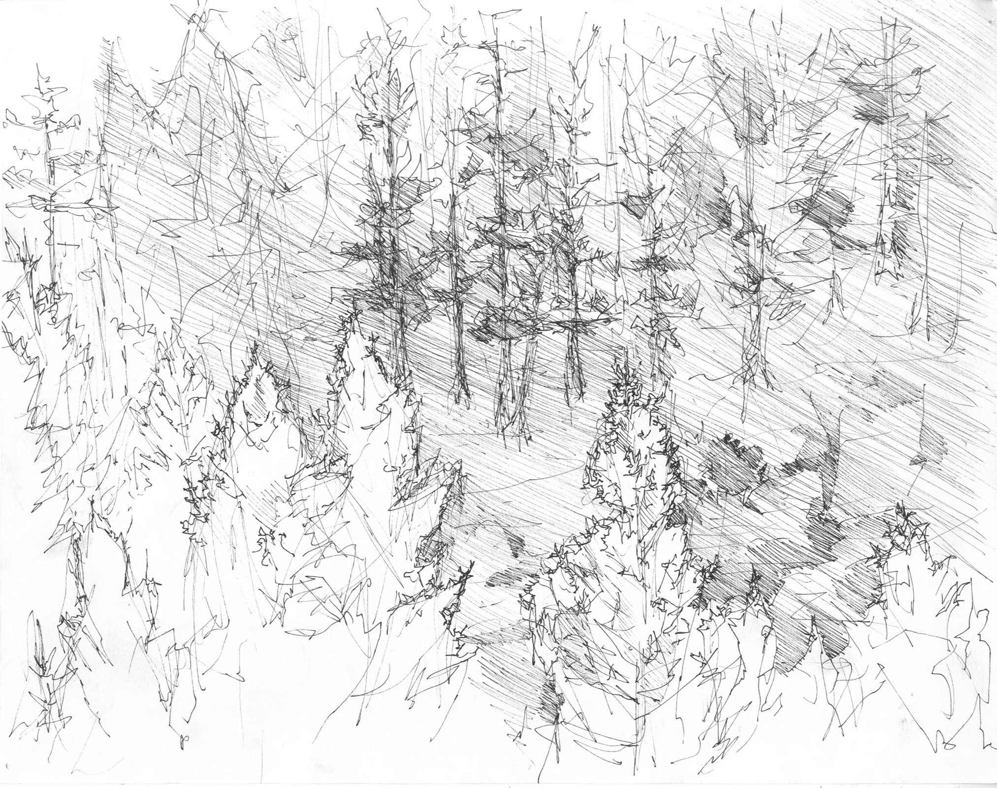 Pencil Drawing Of A Forest at GetDrawings | Free download