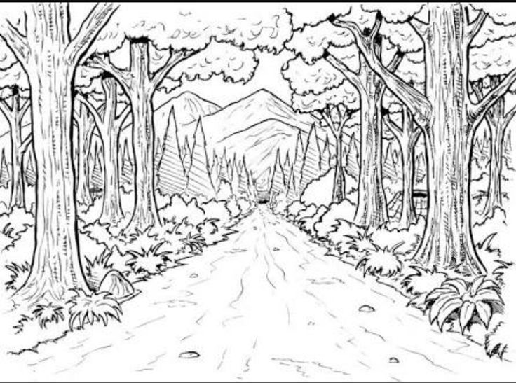 736x547 105 Best Coloring Pages Images On Coloring Books