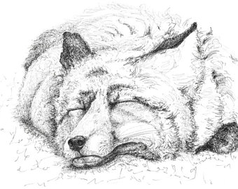 340x270 Fox Drawing Etsy