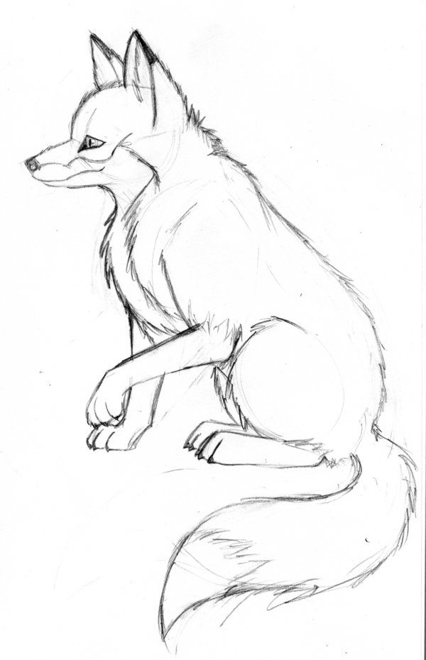 600x930 Fox Art 3 Cizimler Fox Art, Graphite And Drawings