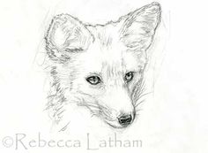 236x173 Fox With Wings Picture