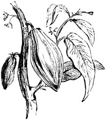 216x245 Learn To Draw Pencil Sketches Blog