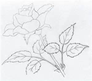 299x261 Simple Pencil Drawings Of Roses